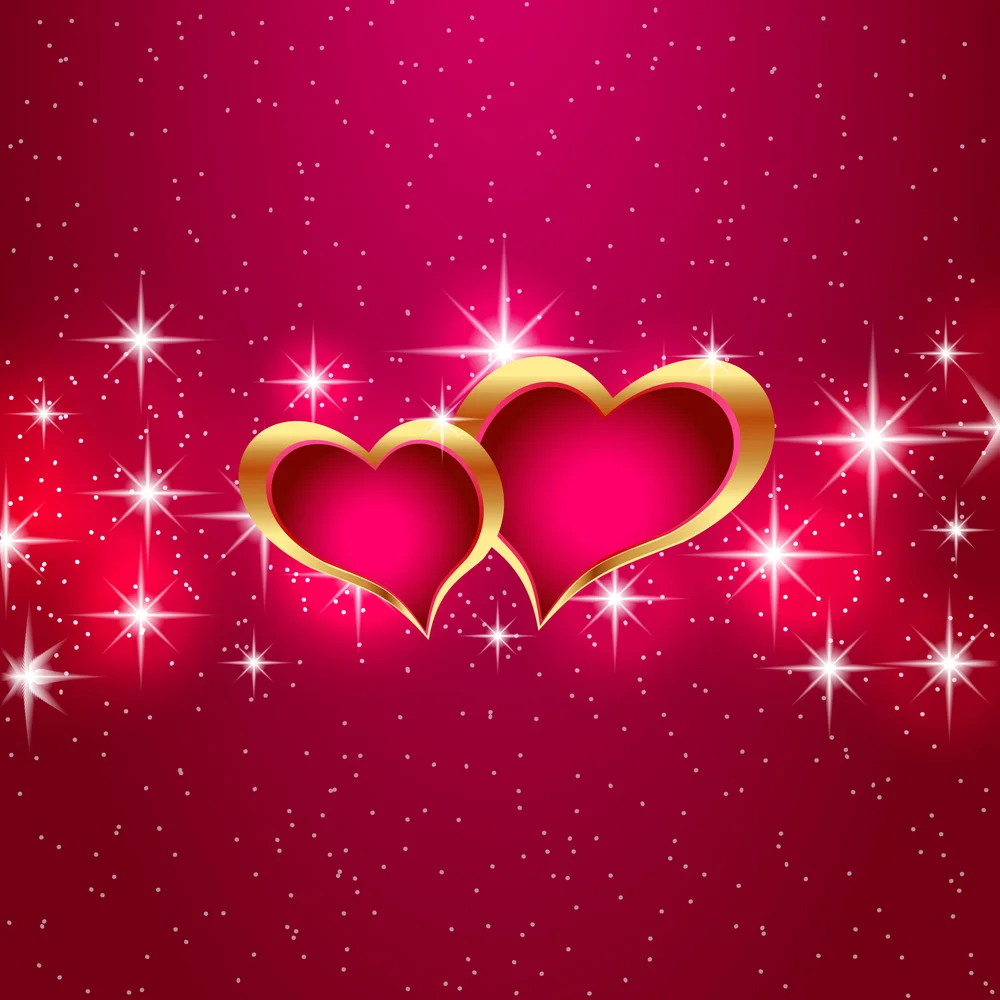 Фоны для фотостудии LIFE MAGIC BOX День святого Валентина Lumberjack Petardi Fond Backdrops.