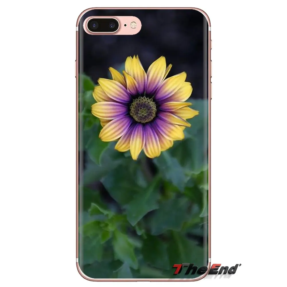 Purple Osteospermum Akila Mix For LG Spirit Motorola Moto X4 E4 E5 G5 G5S G6 Z Z2 Z3 G2 G3 C Play Plus Mini Silicone Phone Cover |