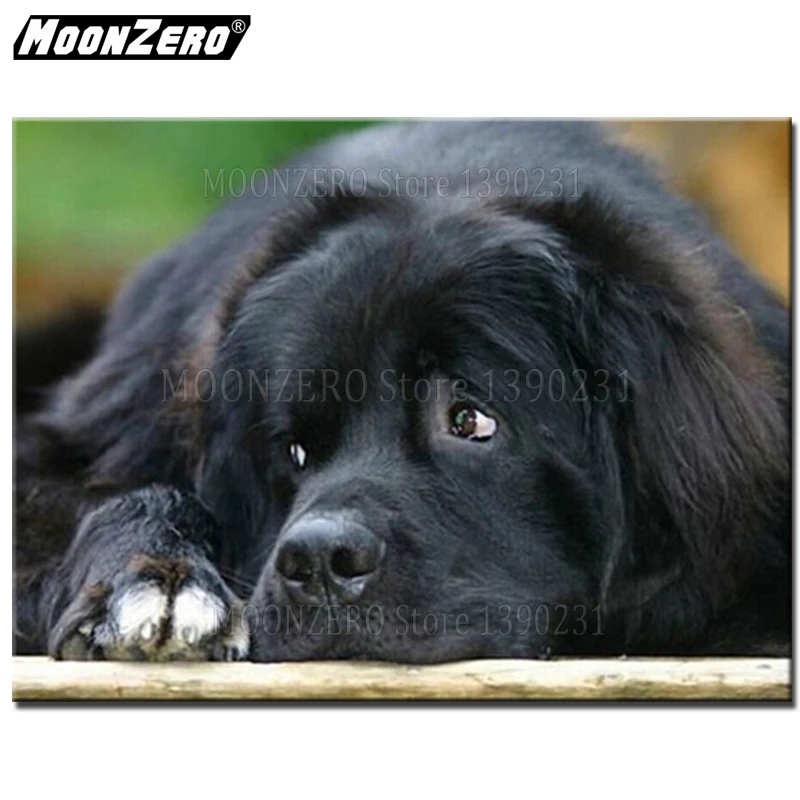 Новая 5D квадратная Алмазная картина вышивка крестиком алмазная набор сделай сам