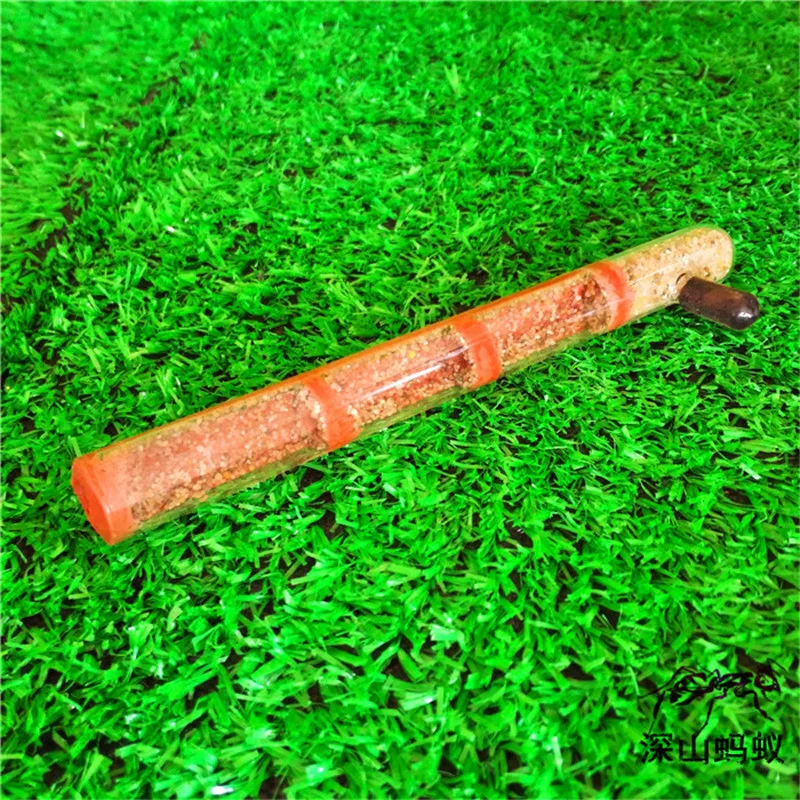 Испытательная трубка влага большое пространство Муравьиное гнездо муравьиная