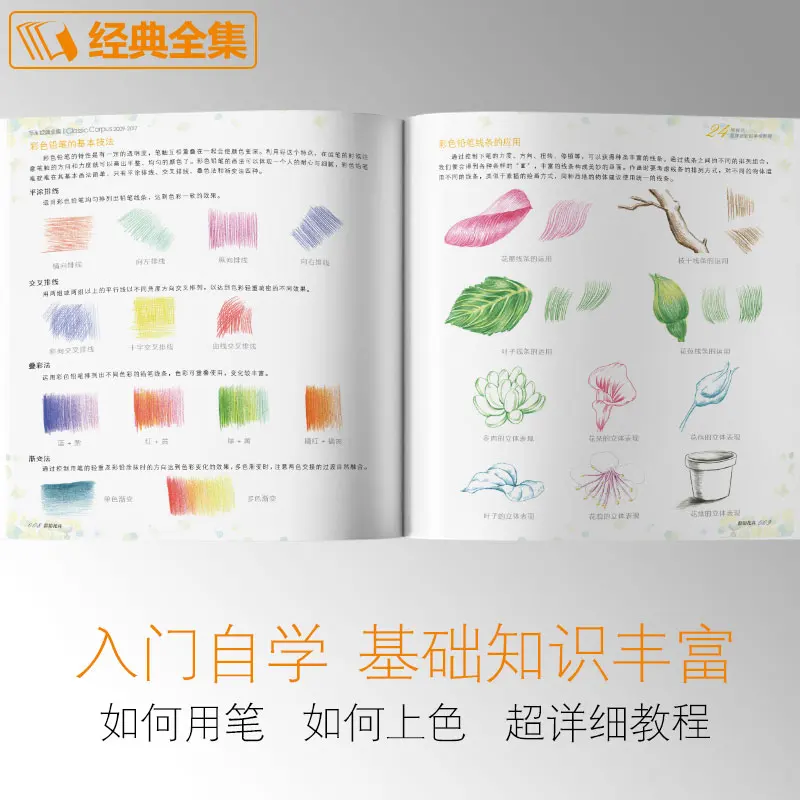 Цвет свинцовой краски вводный учебник книга нулевой основы для взрослых ручной ed