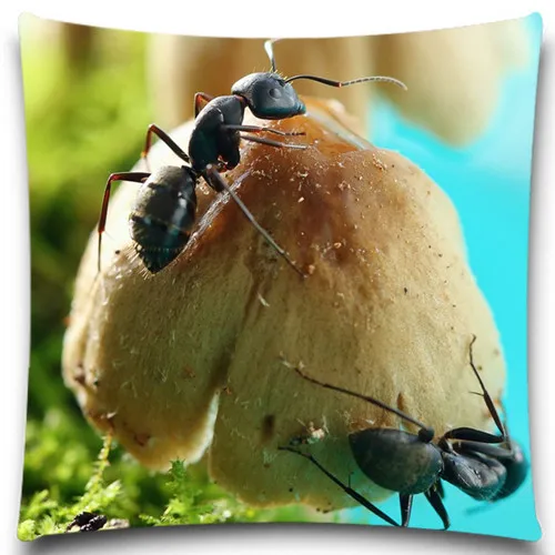 Наволочка из хлопка и полиэстера с изображением черного муравья гриба наволочка