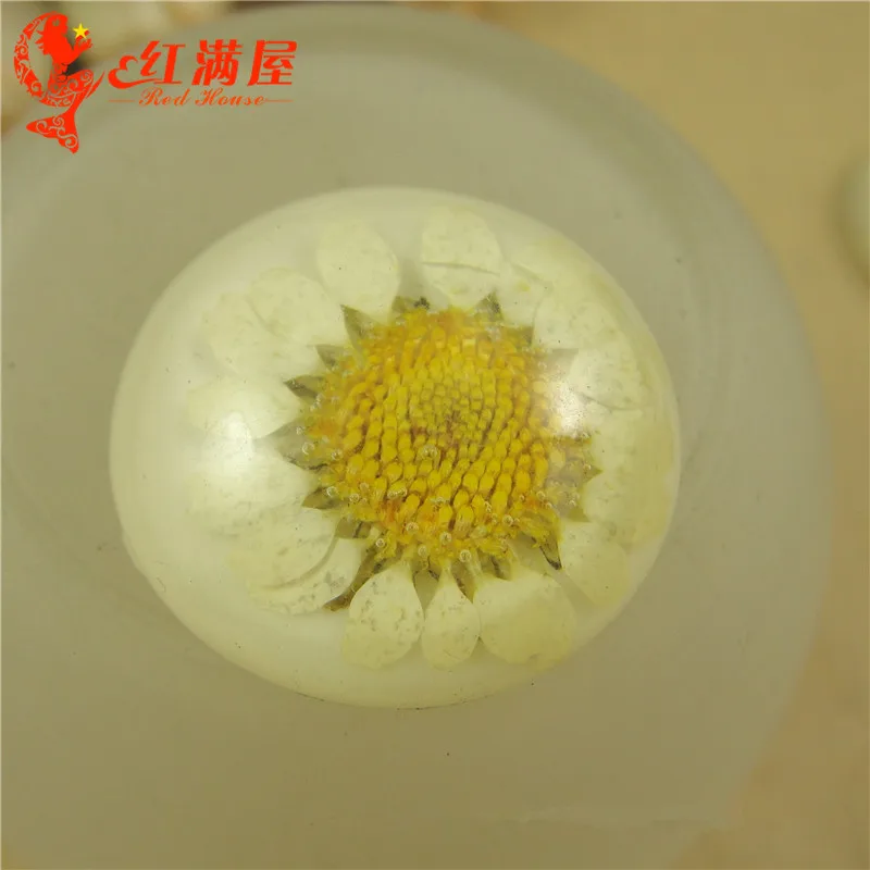 10pcs 25MM Real daisy dry flower resin cabochon round dried flatback floral scrapbooking jewelry making handmade | Украшения и