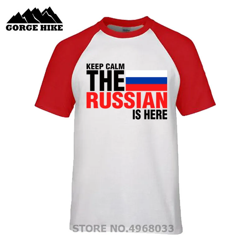 Мужская хлопковая футболка темно-серого цвета с надписью Keep Calm со страхом