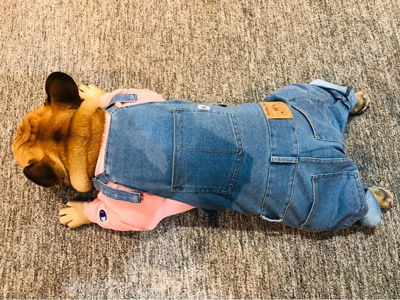 [MPK Dog denim Комбинезоны] джинсовые комбинезоны для собак, джинсы для собак подходят для французских бульдогов, джинсы для собак Мопсов