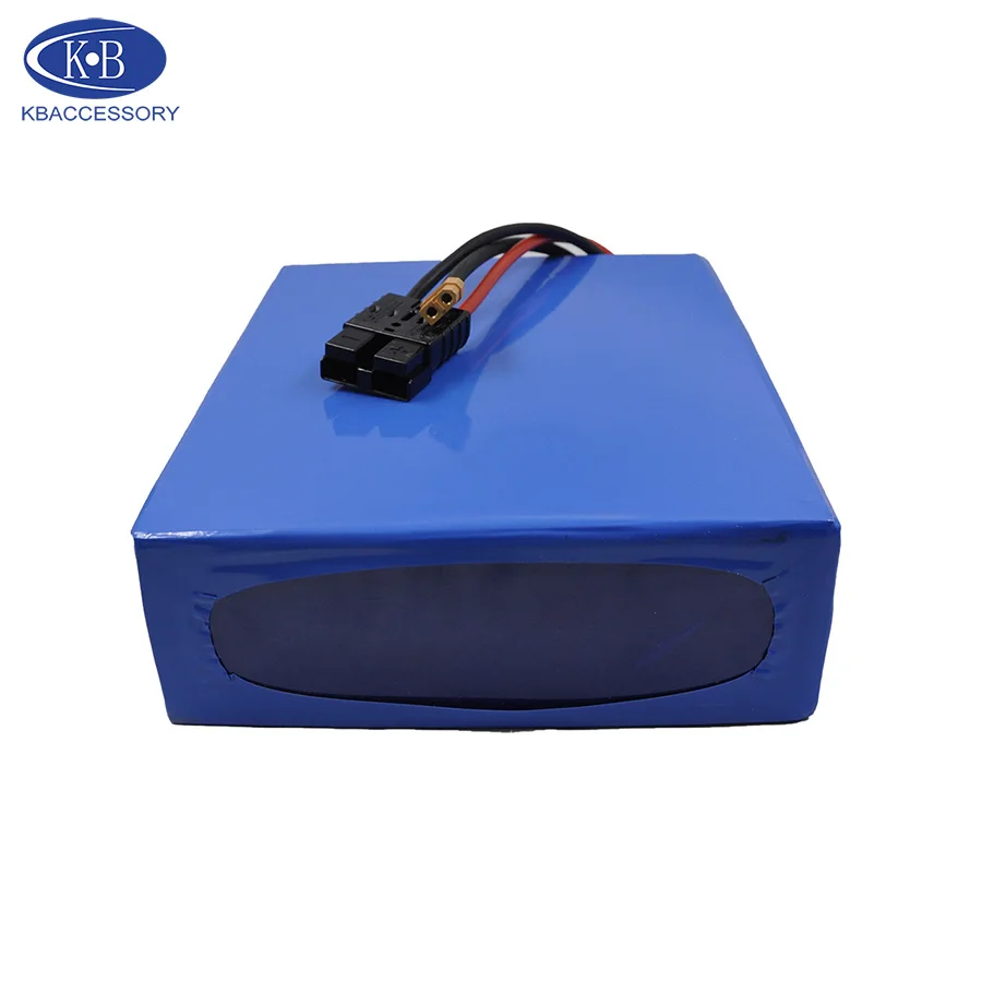 48V 30Ah Lithium-Ion Motorcycle Battery Electric Bicycle 48v For Bafang 8FUN 1200W Motor + Charger 2A Free Shipping | Спорт и