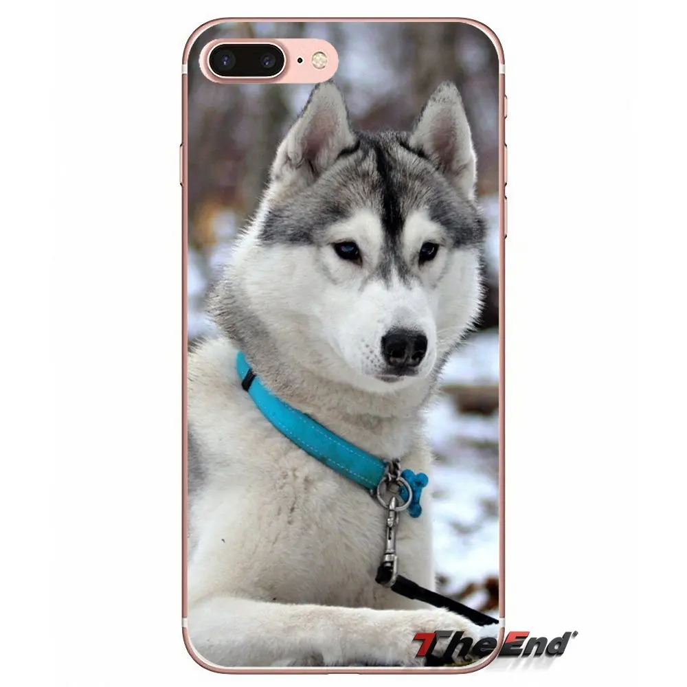 Для iPhone X 4 4S 5 5S 5C SE 6 6S 7 8 Plus Samsung Galaxy J1 J3 J5 J7 A3 A5 2016 2017 защитный чехол для телефона с