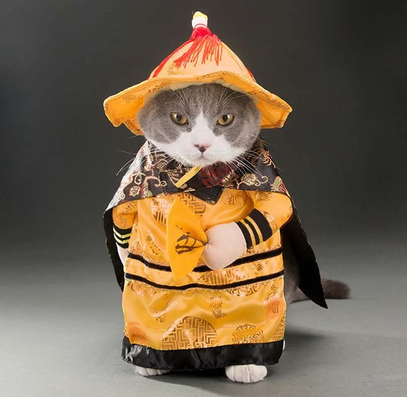 Новогодний костюм Одежда для кошек китайский костюм Тан пальто для кошек Забавный стоящий император Принцесса Ролевые вечерние Одежда для домашних животных 10A