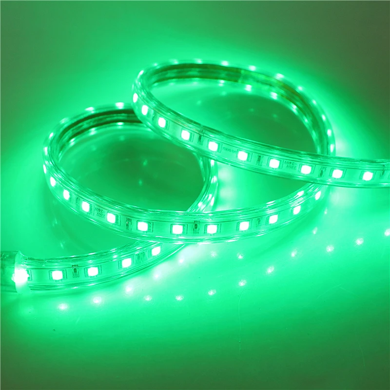 220 В Гибкая СВЕТОДИОДНАЯ лента SMD 5050 60 светодиодов/м Водонепроницаемая IP67 Вт WW RGB Светодиодная лента светильник с европейской вилкой питания 1 м 2 м 3 м 4 м 5 м 10 м 15 м 20 м