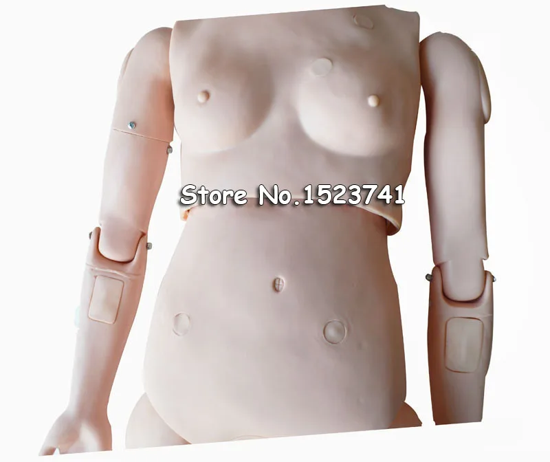 Манекен человека для обучения пациентам|Медицинская наука| |
