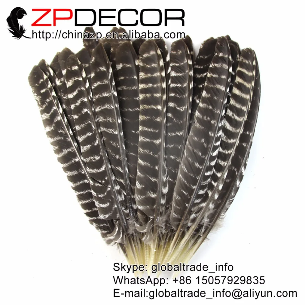 

ZPDECOR 30-35cm(12-14inch) 100pieces/lot Wholesale Original Natural Beautiful Wild Barred Turkey Feathers for Carnival Show