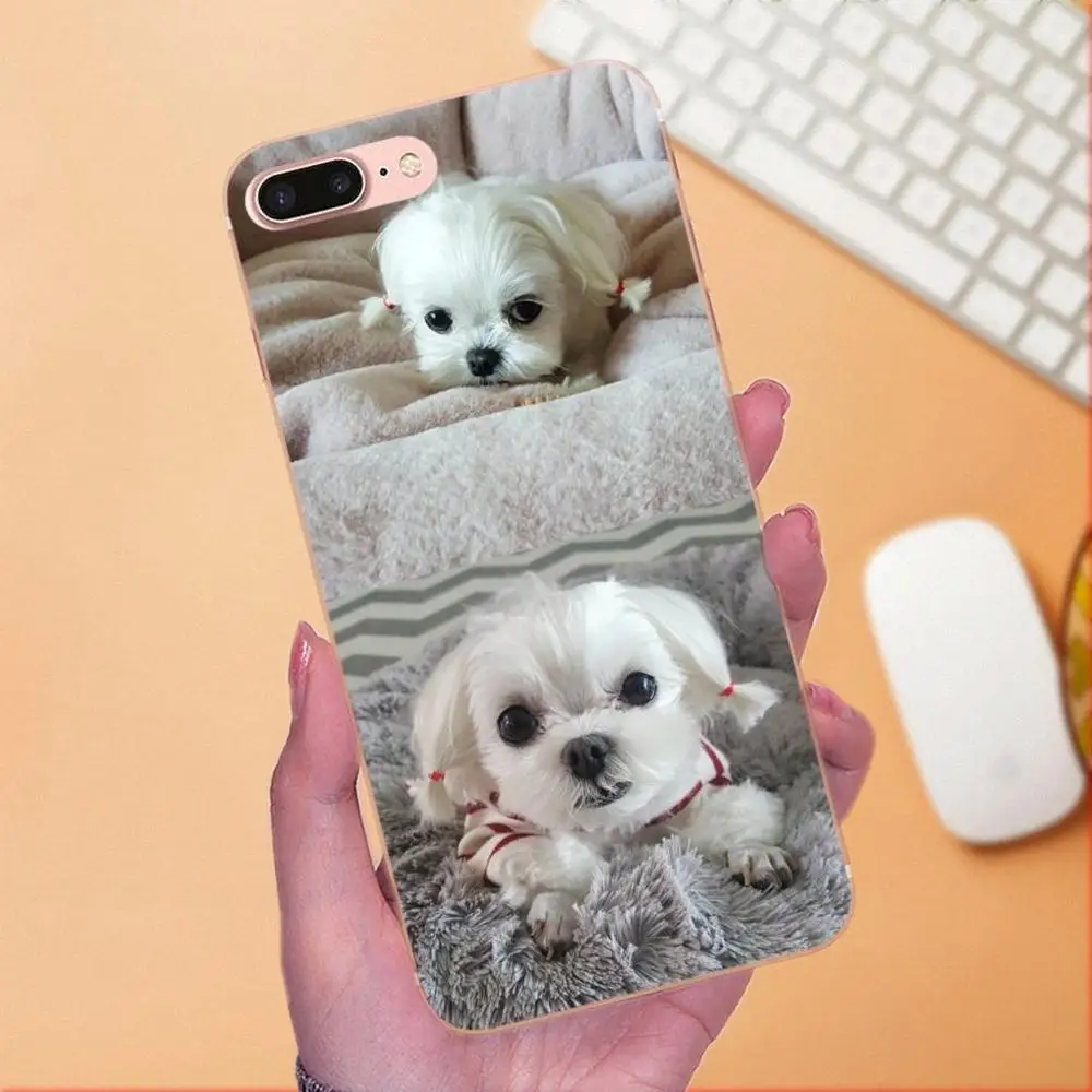 Love Pretty Shih Tzu Puppy Dogs Мягкая Мода для Sony Xperia Z Z1 Z2 Z3 Z4 Z5 compact Mini M2 M4 M5 T3 E3 E5 XA XA1 XZ Premium |