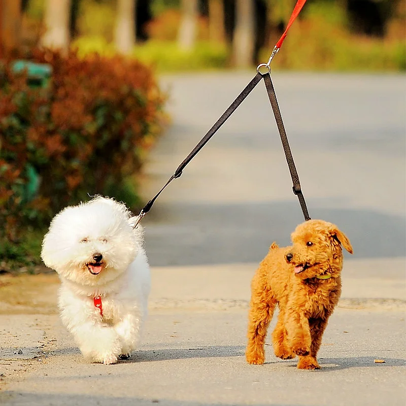 WALK 2 поводок для двух собак нейлоновый двойной домашних животных двусторонняя