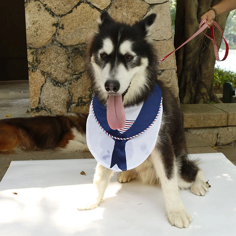Темно синяя собачья треугольная повязка ошейник аксессуары для животных галстук