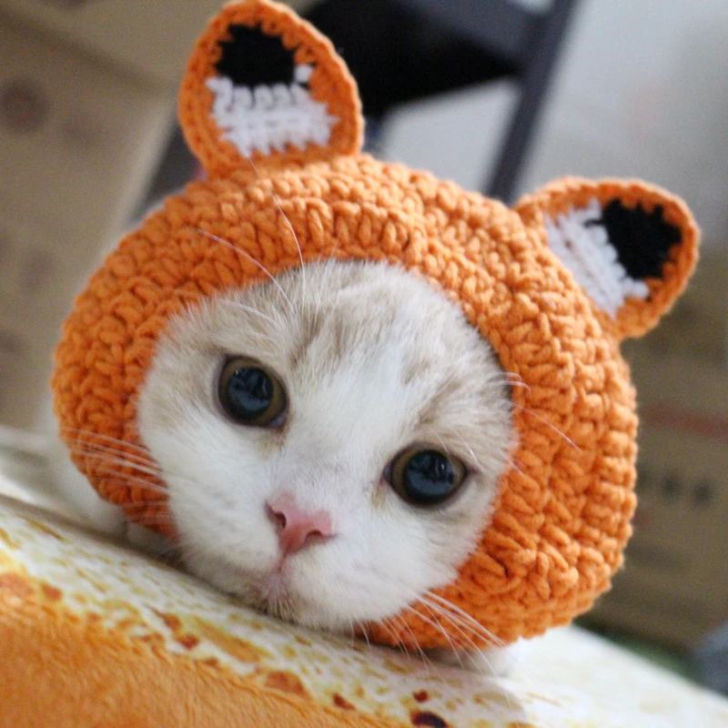 

[MPK Store] Cat Beanie with Ears, Adorable Cat Costume, 2 Sizes Available