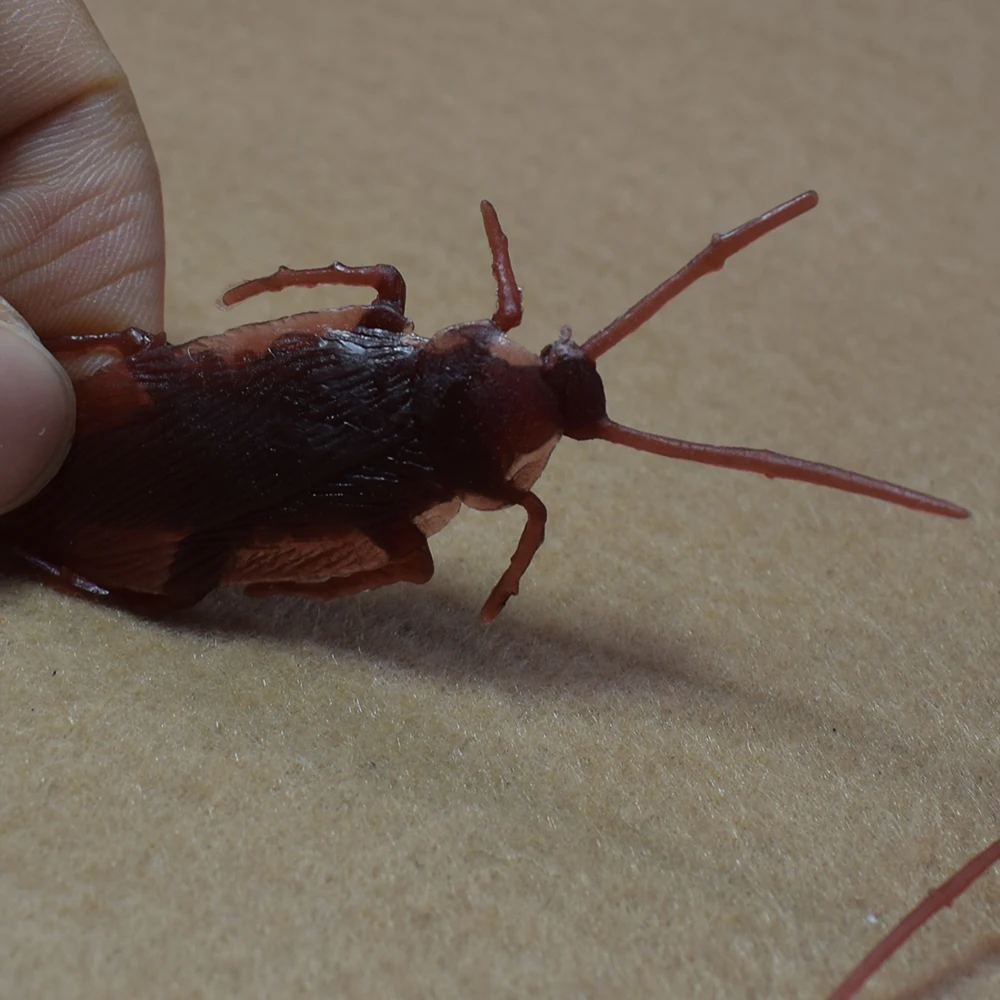 10PCS Lifelike Plastic Simulation Cockroach Tricky Joking Scary Gags Practical Jokes Toys for April Fool's Day Supply | Дом и сад