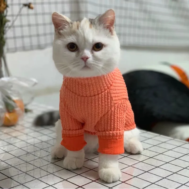 [MPK кошачьи свитера] дизайн SWD Cat свитер, свитер для собак, свитер для домашних животных, зимняя одежда для домашних животных