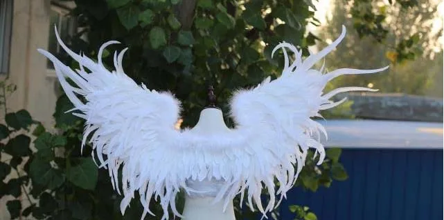 white wings Черный дьявол перо Крылья Длинные Красивые перо хвост нижнее белье шоу реквизит Mall украшения поставка EMS - Цвет: white wings
