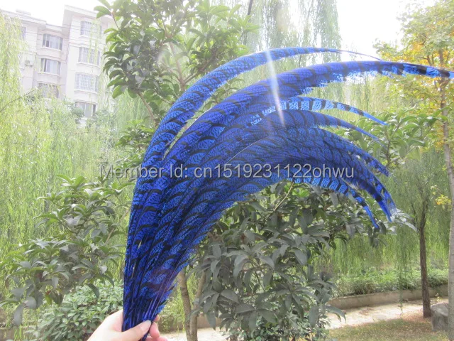 Бесплатная доставка оптовая продажа 10 шт. натуральный цвет королевский синий