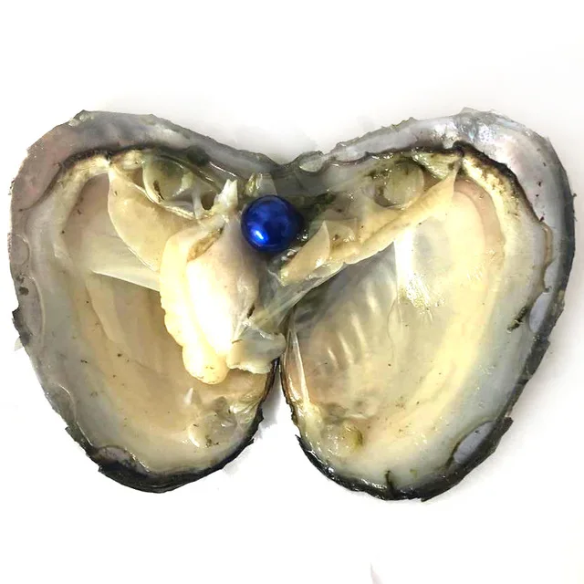 2019 DIY Эдисон Oyster Pearl 9-12 мм 16 смешанных цветов пресноводный подарок натуральный