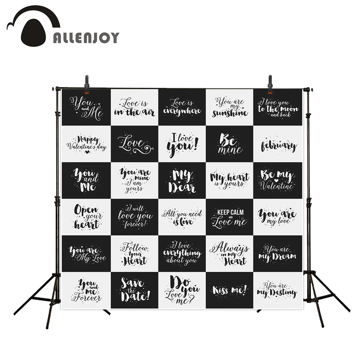 Allenjoy Виниловый фон для фотосъемки черный и белый любви романтика