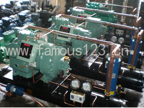 4NCS-12.2Y oil for bitzer compressor chiller 12hp |