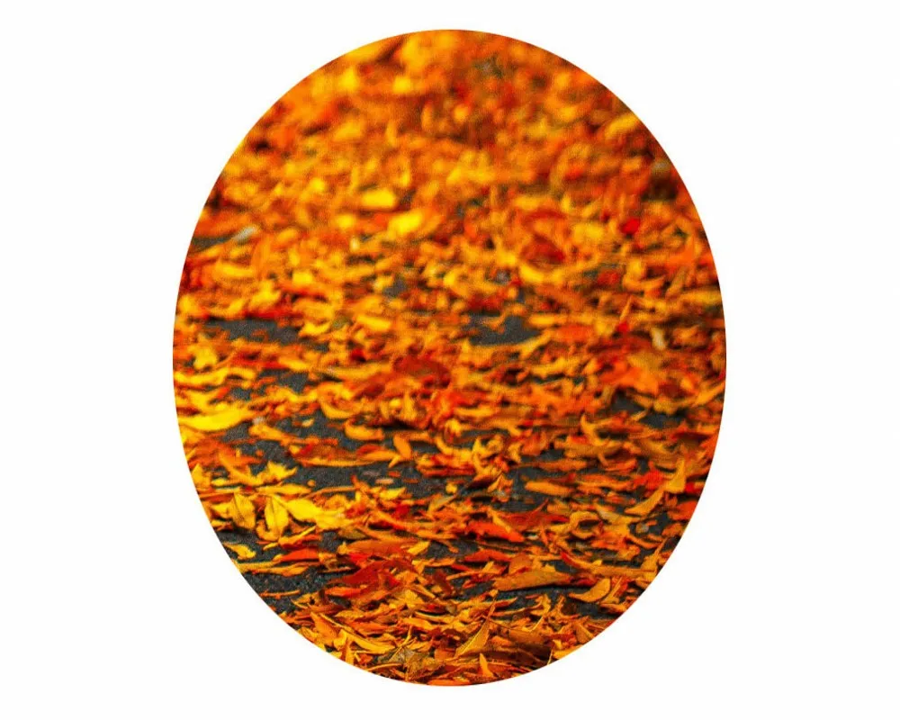 

Free Shipping Wallpaper Mural Wood Path Golden Tree Oil Painting TV Background Wall Living Room Wallpaper Autumn Bedroom Mural