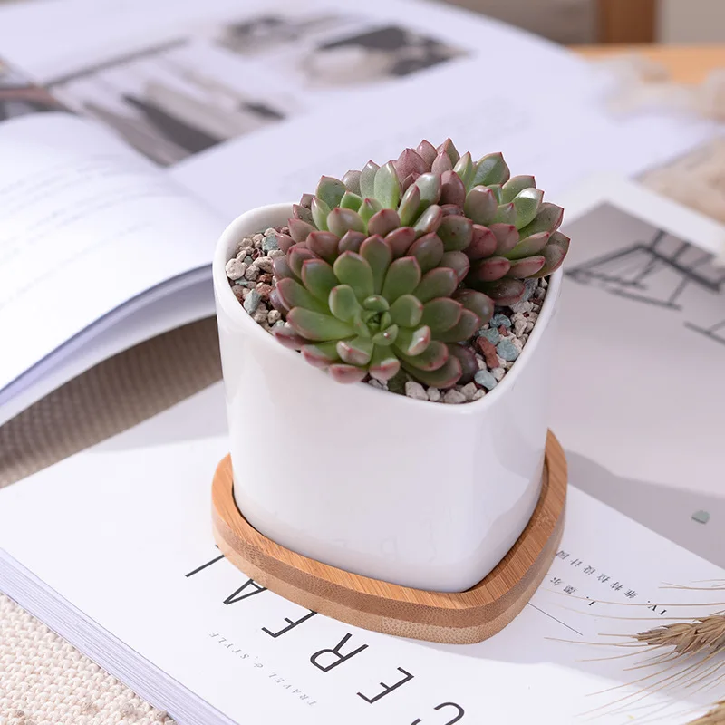 2 шт. горшков для суккулентов из белой керамики в форме сердец с подставками для декорирования дома (2 горшка + 2 подставки)