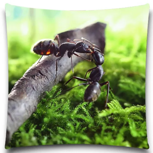 Наволочка из хлопка и полиэстера с изображением черного муравья гриба наволочка