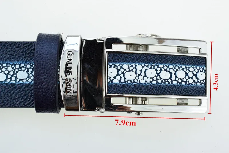 

WJ20B25 men Pearl skin look PRINT STINGRAY classic cowhide genuine leather belt