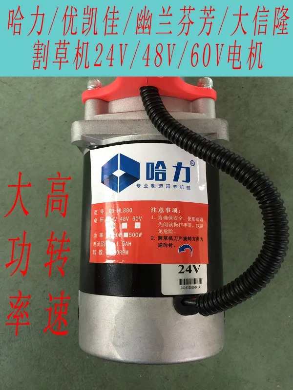 Kazakhstan / excellent Kay / Orchid Fragrance / Daxiang Long