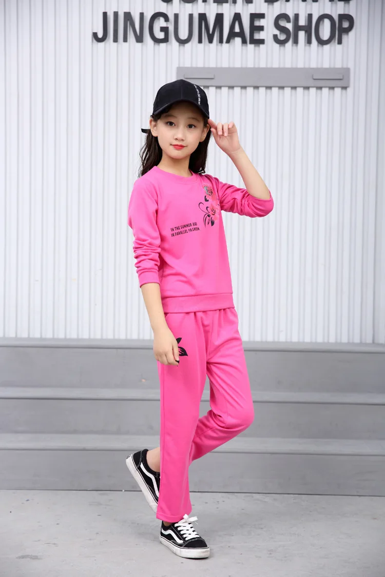 

girls Long Sleeved Shirt+pant Children's clothes sets for Autumn Spring kids clothes for girls Sport Set Elastic 2-8 Ages