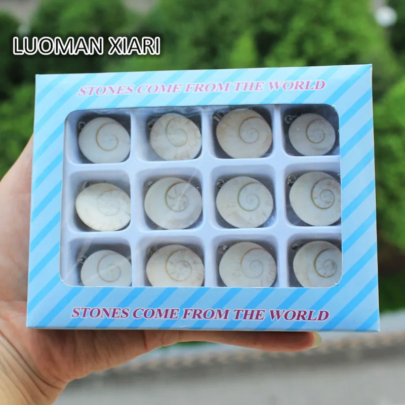 Оптовая продажа разнообразные Подвески в виде 12 искусственных ракушек подходят