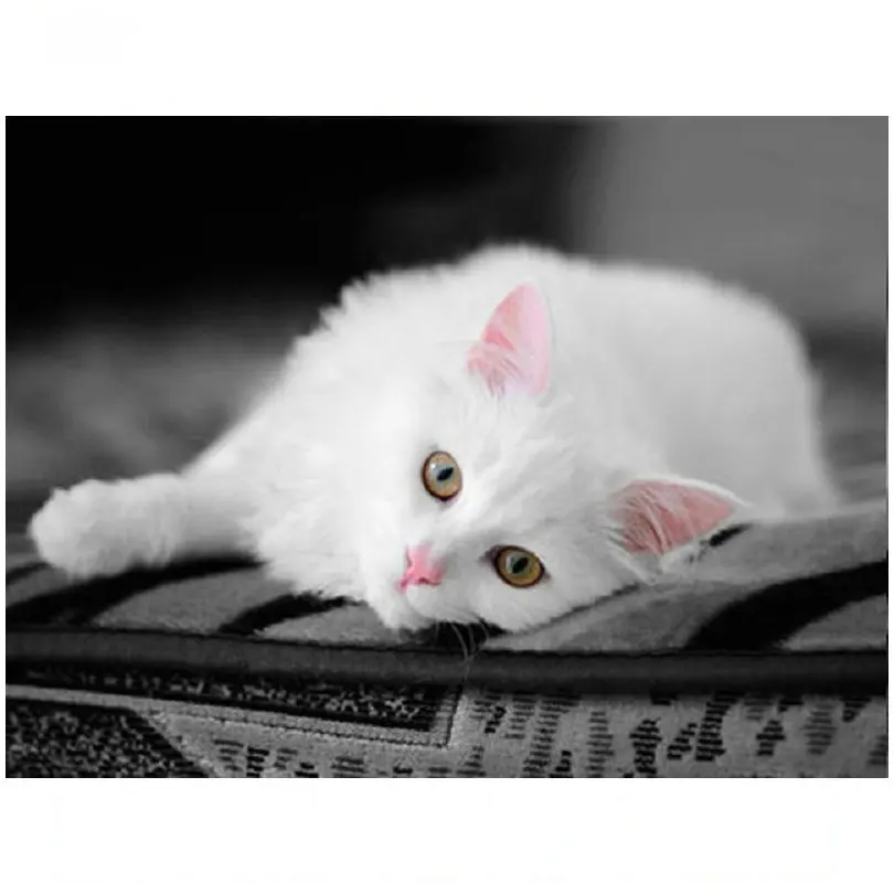 Алмазная вышивка 5d с изображением белого кота круглая алмазная живопись