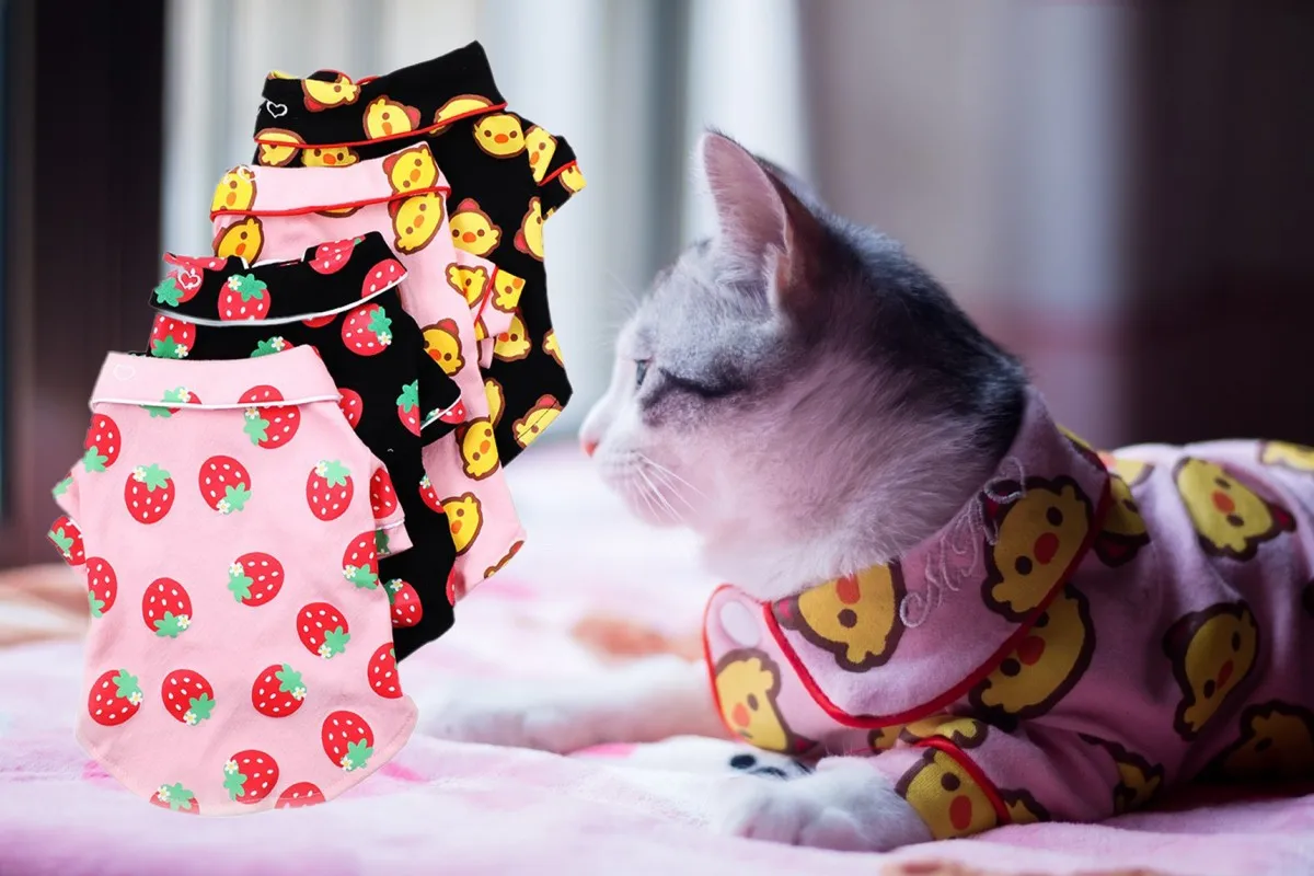 Одежда для домашних животных, котов Mascotas костюм на Хэллоуин Мягкая Милая цыпленок клубника Кошка Домашняя одежда кошка пальто Одежда для домашних животных наряд XS s m l xl