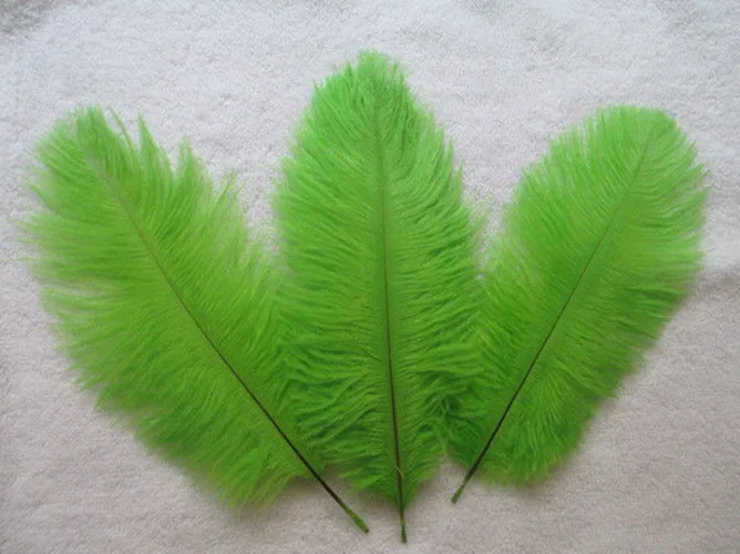 10 шт. белые страусиные перья 6 8 дюймов/15 20 см|feathers for decoration|white ostrich feathersdecorative feathers |