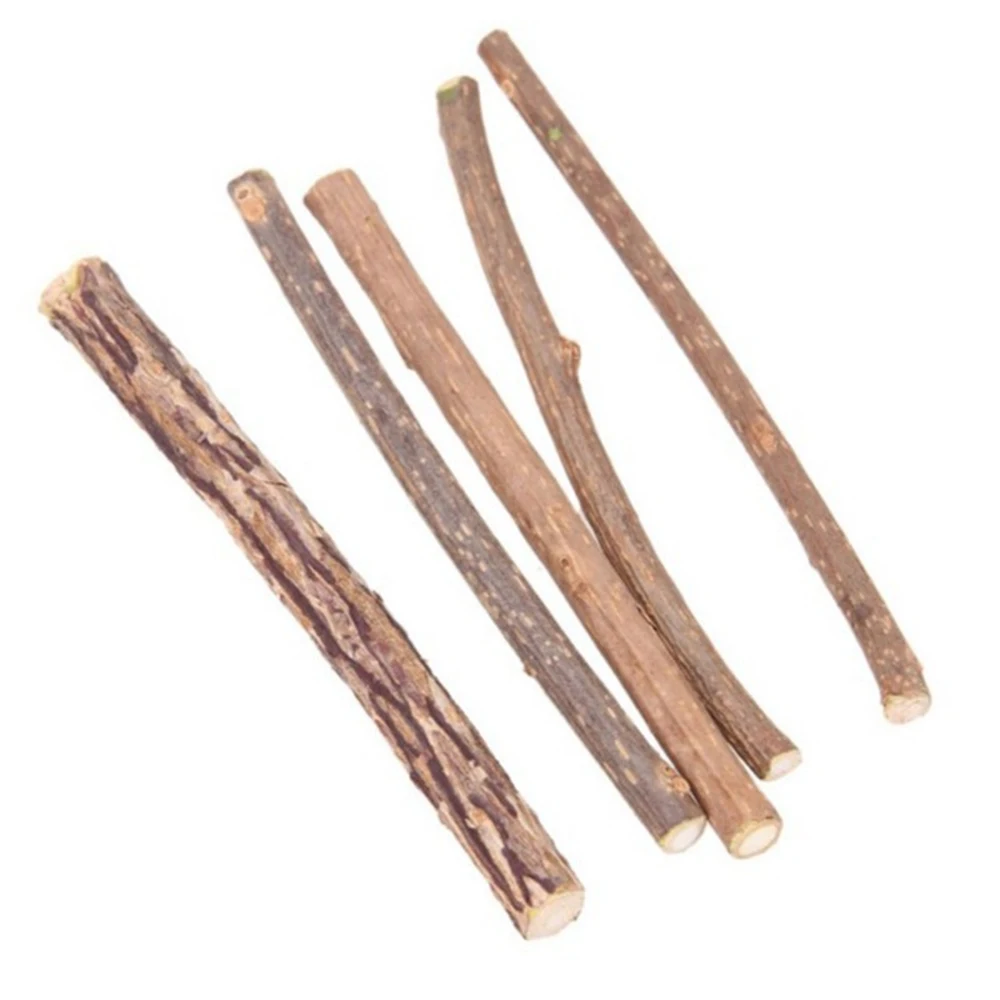 5 шт./лот зубная паста для чистки кошек натуральная молярная Silvervine Actinidia Фруктовые