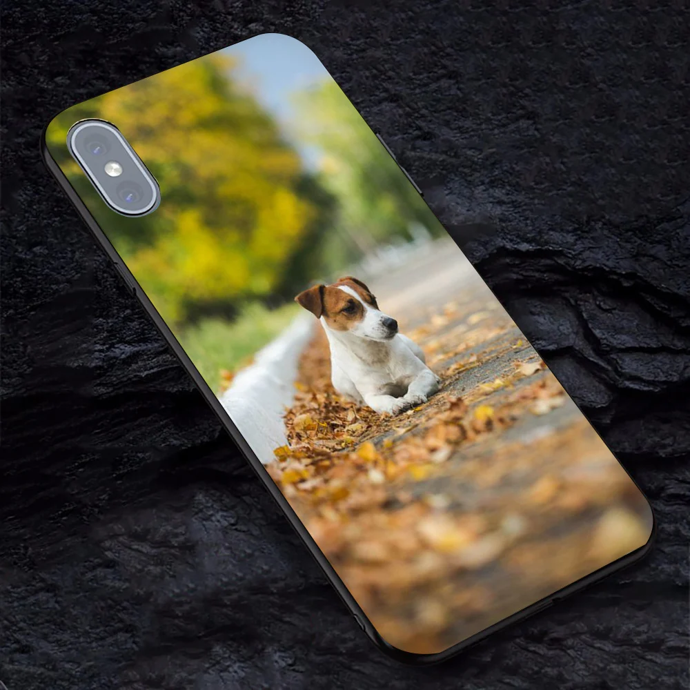 Джек Рассел терьер Dogcase для iphone 7 plus мягкий tpu чехол телефона 6 6s X XR XS MAX coque