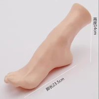 wholesale 1423cm female stockings model short legs mannequin woman silicone foot model for sock display 2pclot m00539