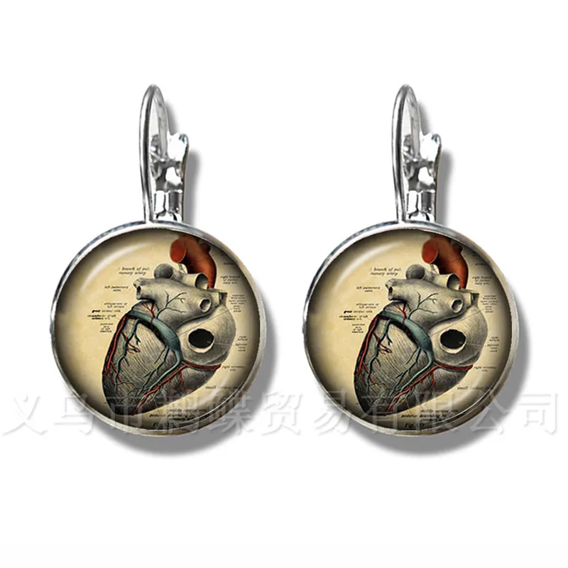 

Human Anatomy Brain Stud Earrings Glass Cabochon Weird Cool Science Personalized Doctor Classic Earrings Creative Gifts