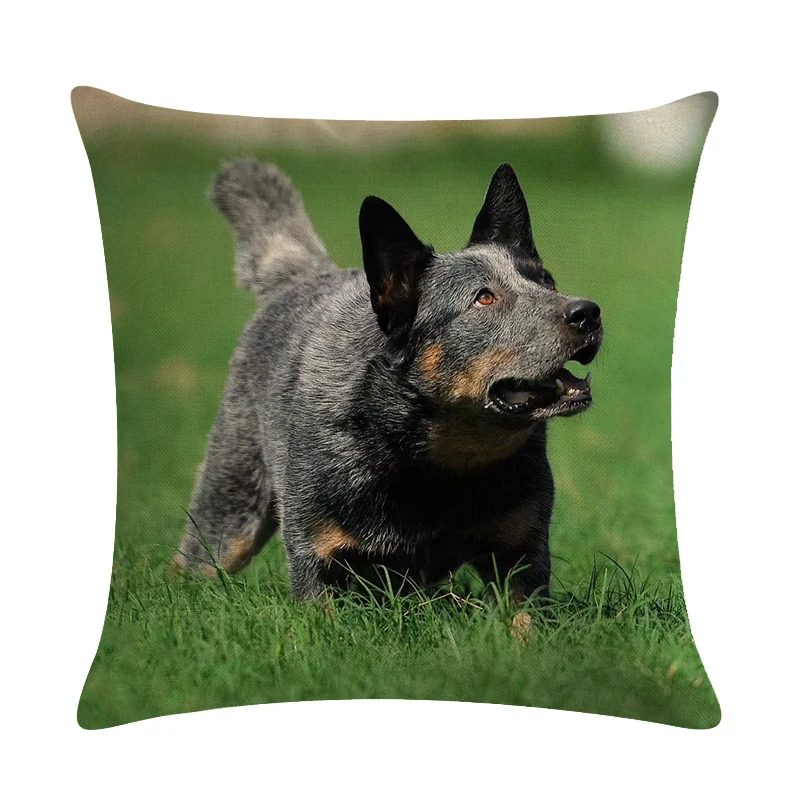 Наволочка для домашнего дивана с изображением собаки австралийского крупного