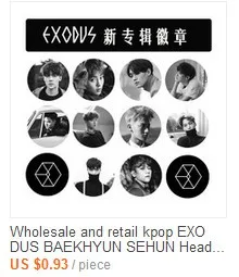 Youpop EXO EXO-K EXO-M EXODUS PLANET#2 альбом брошь K-POP значок аксессуары для одежды шляпа украшение для рюкзака HZ1576