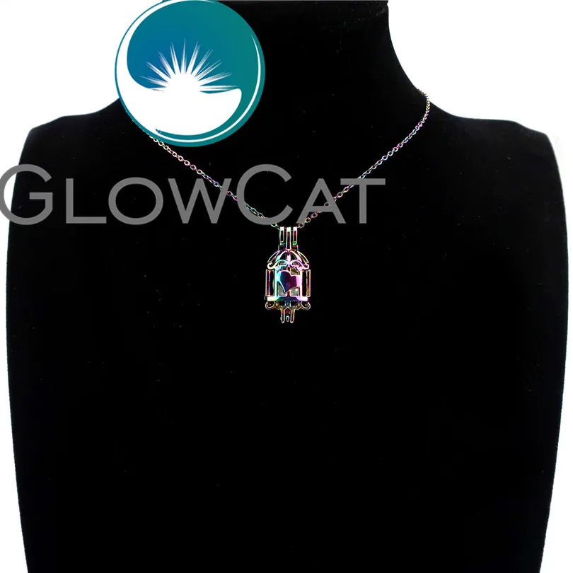 GLOWCAT R-C669 Радуга Цвет клетка любящее сердце серебряные шарики Клетка подвеска
