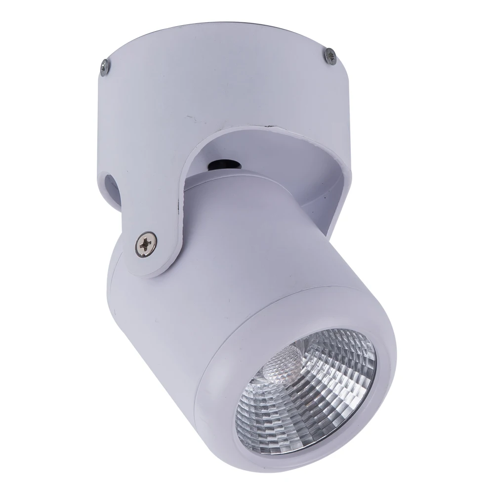 

Modern LED Ceiling Spotlights Surface Mounted AC85V-265V 12W COB for Living Home Office Commercial Lighting