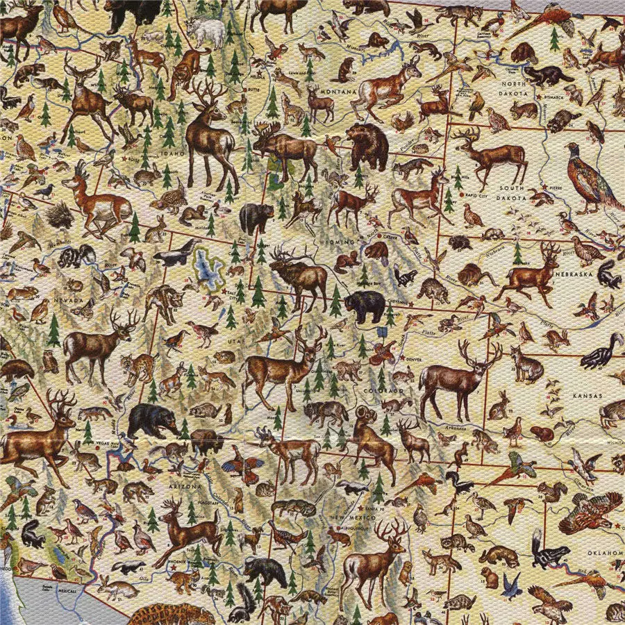 Antique Map of the United States Various Animals Detailed Introduction Canvas Drawing Print Wall Art Sticker School Home Decor | Дом и сад