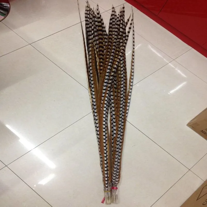 

Wholesale perfect 10pcs Rare natural Reeves's Pheasant feathers 48-52inch/120-130cm Decorative diy