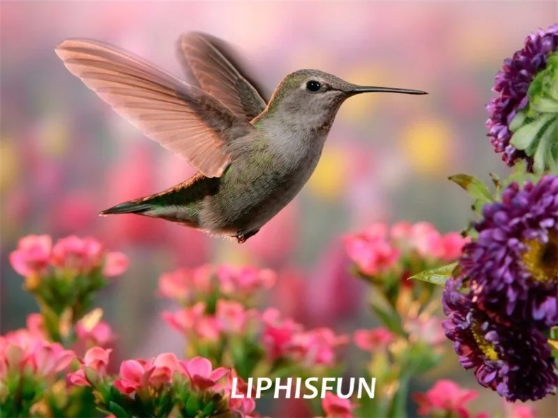 

LIPHISFUN Алмазная картина вышивка полная дрель домашний декор квадратная/круглая Вышивка крестом сделай сам Цветок Птица Животное сценически...