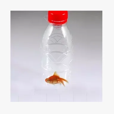 Рыба в бутылке магический трюк невероятное проникновение мгновенная уличная