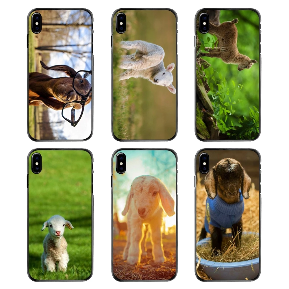 For Samsung Galaxy A3 A5 A7 A8 J1 J2 J3 J5 J7 Prime 2015 2016 2017 The Cutest Baby Pygmy Goat Wallpaper Plastic Black Cover Case |