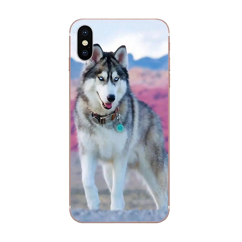 ТПУ чехол для телефона huawei P7 P8 P9 P10 P20 P30 Lite Mini Plus Pro 2017 2018 2019 дизайн прекрасная